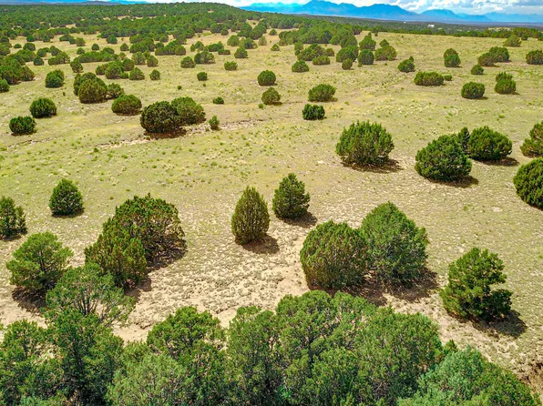 LOT 89 Silver Spur Rd, Walsenburg, CO 81089