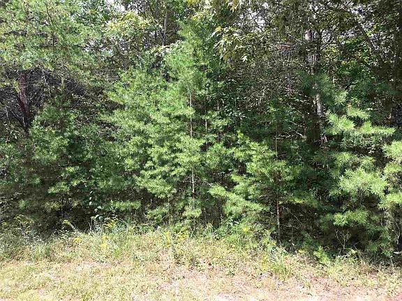 4th image of 0 Crest View Dr Lot 28