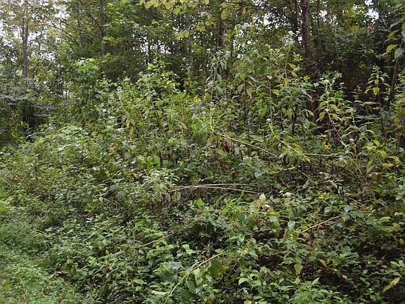 5th image of Emerald Glen Dr