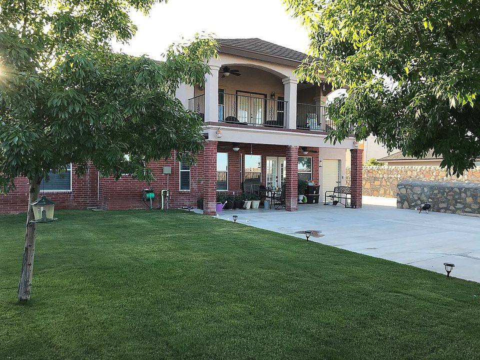 Back yard - real grass