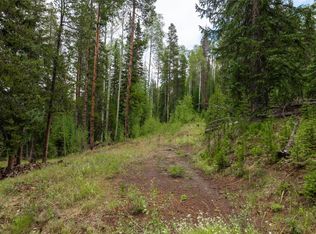 39455 Crows Nest Dr, Clark, CO 80428