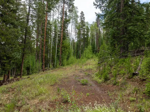 39455 Crows Nest Dr, Clark, CO 80428