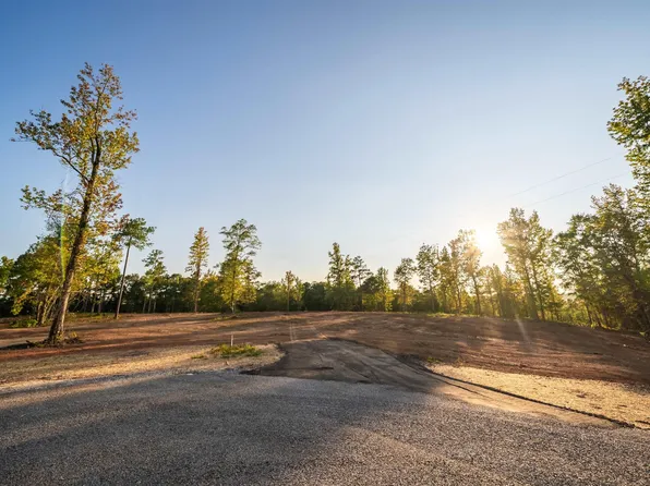 LOT 13 Cams Cov Old Hwy Lot 431-13, Wedowee, AL 36278