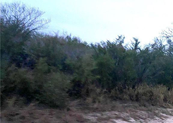2nd image of 7039 County Road 205