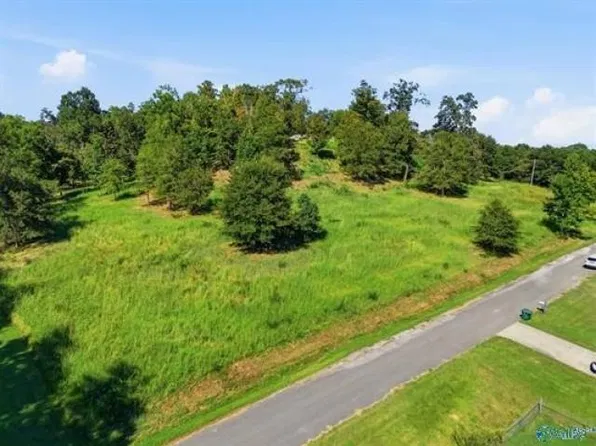 810 E Railroad Ave, Hanceville, AL 35077