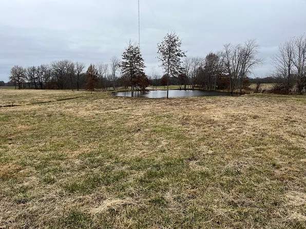 7724 Litchfield Trl, Mount Olive, IL 62069