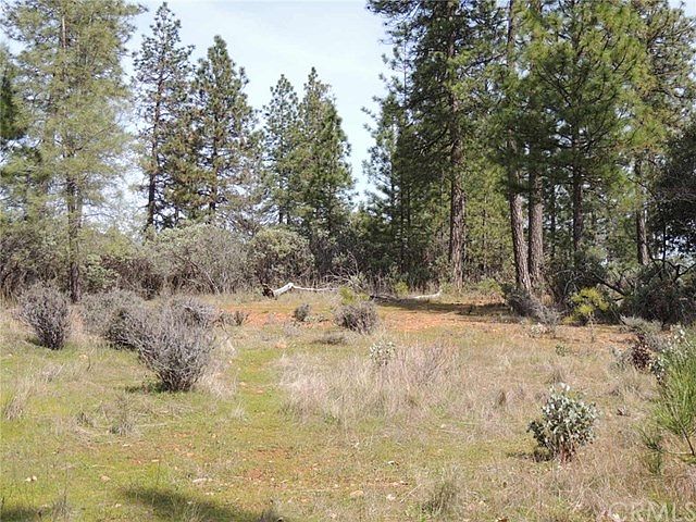 5+ acres with numerous open areas