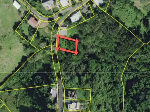 Bo Rio Grande Carr 115 Km 19.2 Int, Aguada, PR 00602