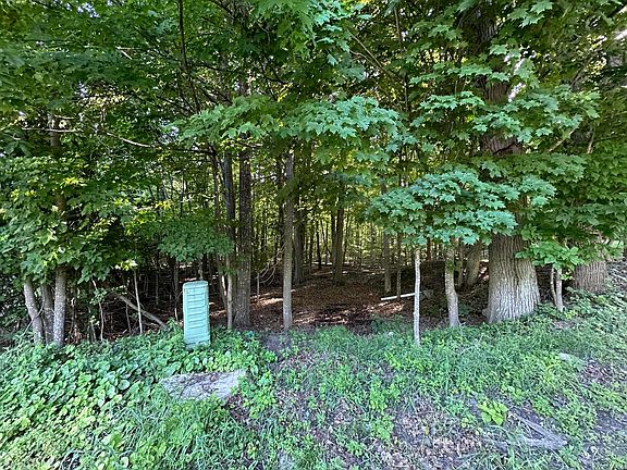 2nd image of 0 Trembleau Rd