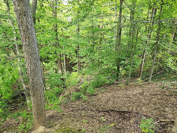 4th image of 6200 Queens Way