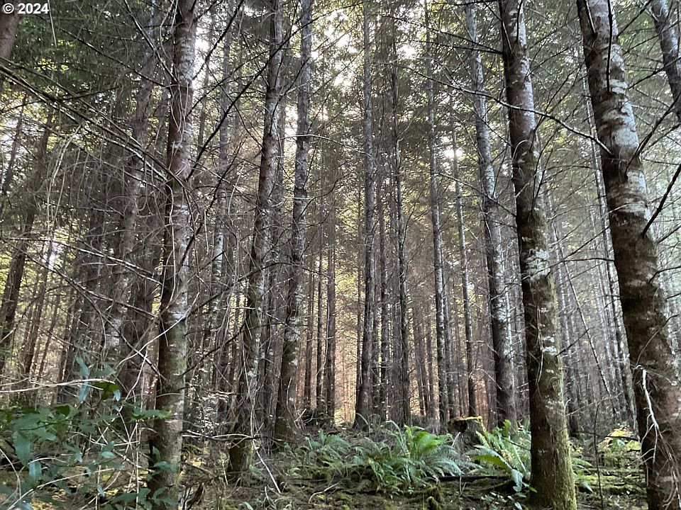 2nd image of Old Coos Bay Rd