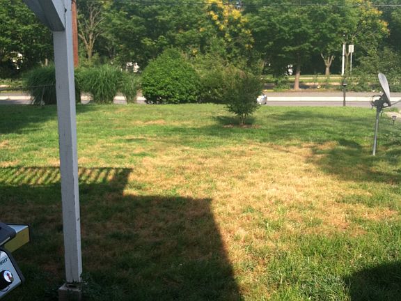 Lawn