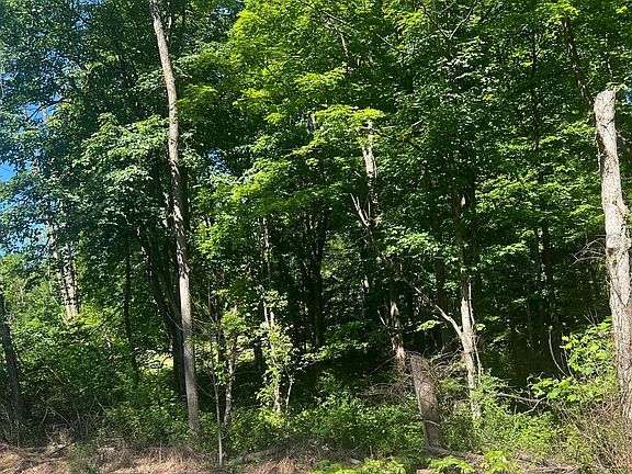 2nd image of Cold Run Valley Rd