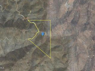 22000 N Cyclopic Blvd, Willow Beach, AZ 86445