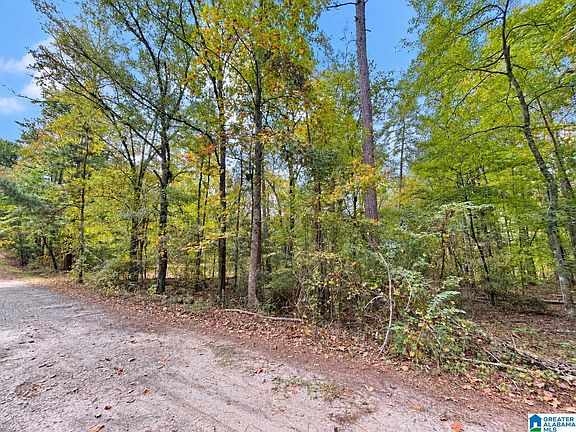 2nd image of LOT 4 Hickory Holw Lot 4