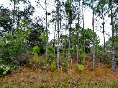 Loffreda Ave Lot 8, North Pt, FL, 34291