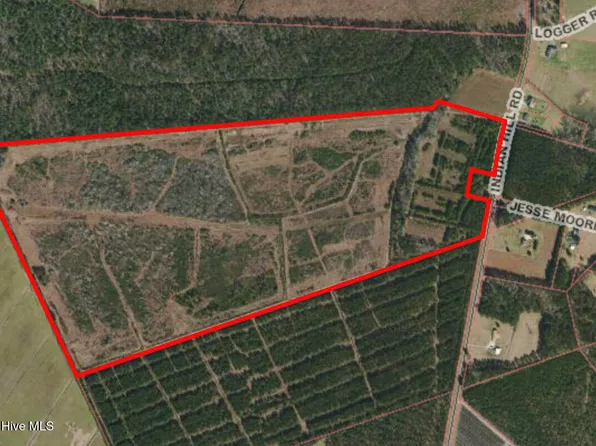 0 Indian Hill Road, Willard, NC 28478