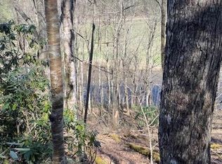 Spruce Ln, Crumpler, NC 28617