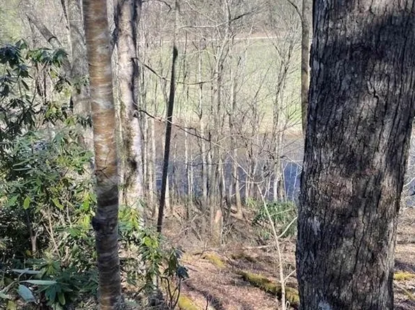 TBD Spruce Lane, Crumpler, NC 28617