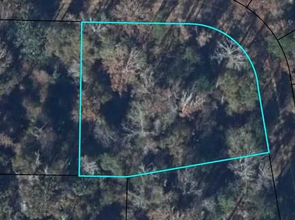255 Riverside Cir, Wewahitchka, FL 32465