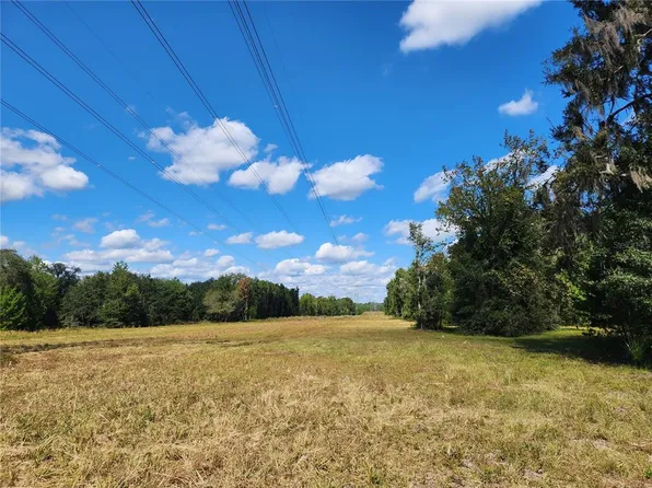 NE Highway 315, Fort Mc Coy, FL 32134