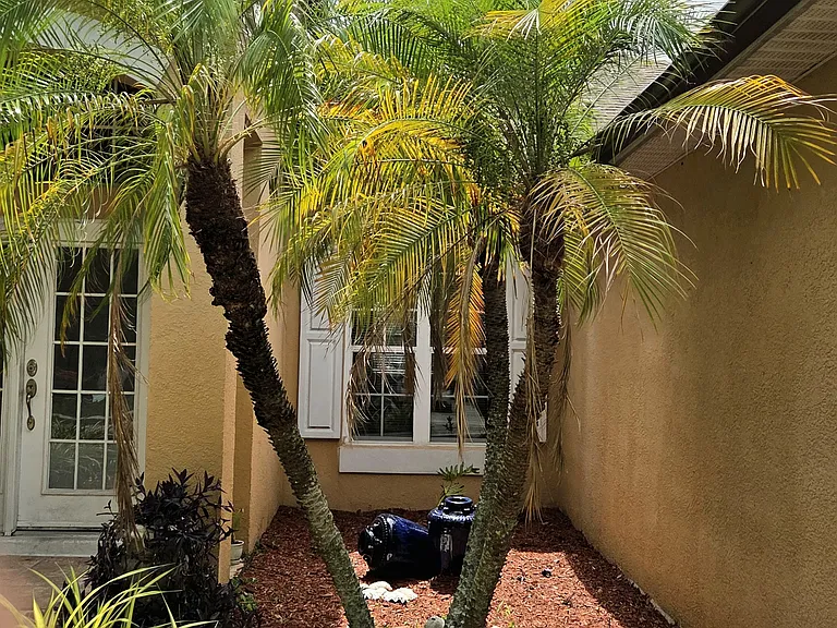 Front landscaping