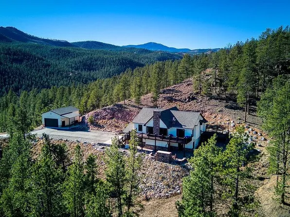 16654 S 7th Street, Pine, CO 80470