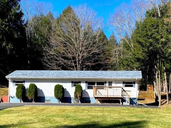 141 Gale Rd, Mongaup Valley, NY 12762