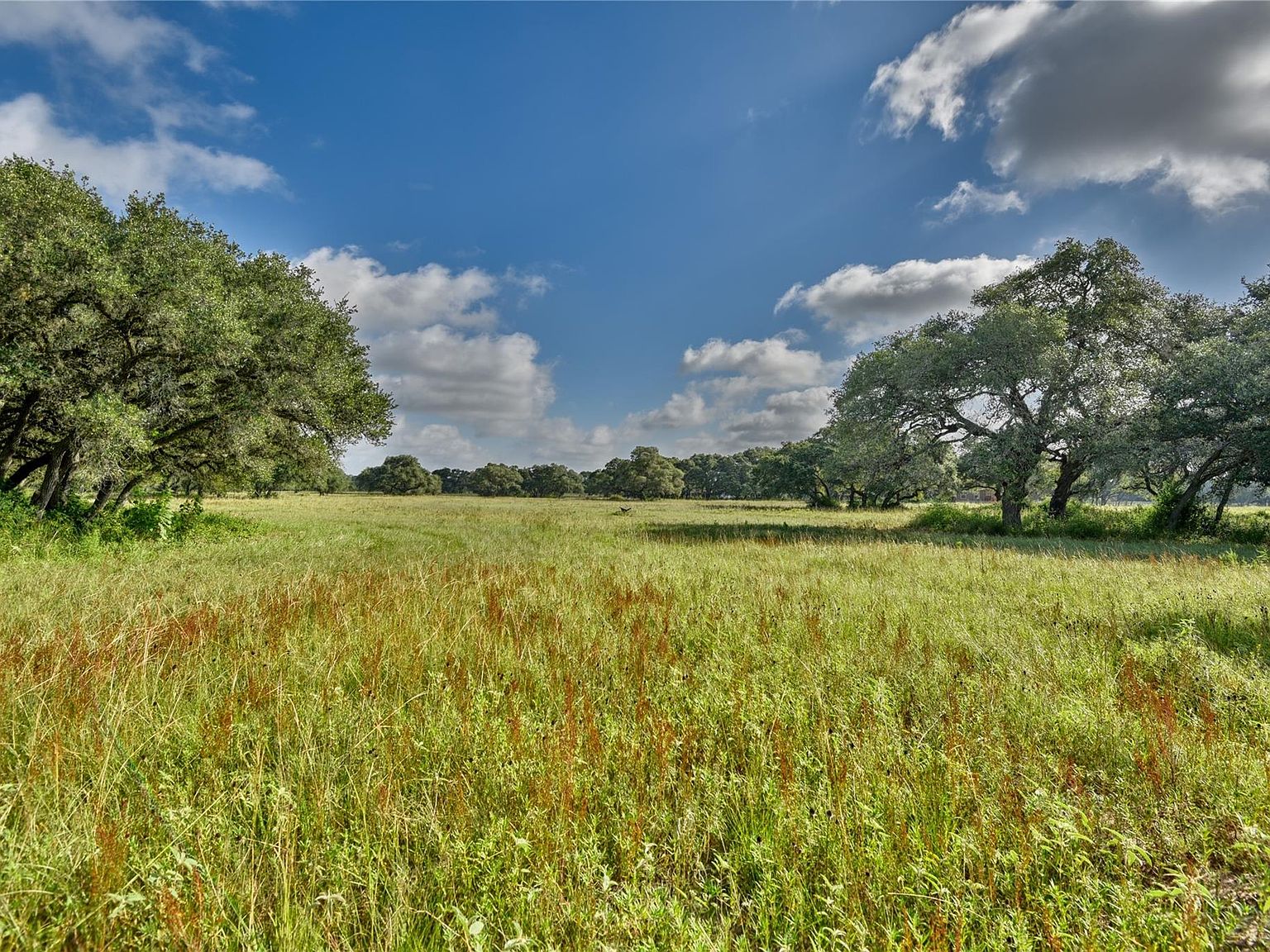 Jessicas Way, Altair, TX 77412 MLS 49120555 Zillow