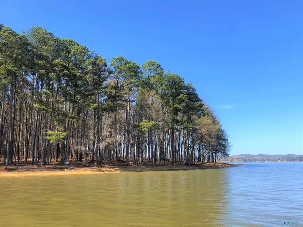 5 Little River Lndg, Cedar Bluff, AL 35959