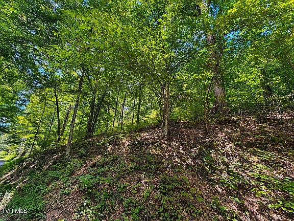 3rd image of Hickman Hollow Rd