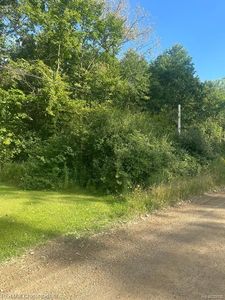 0 Sherwood Rd, Belleville, MI, 48111