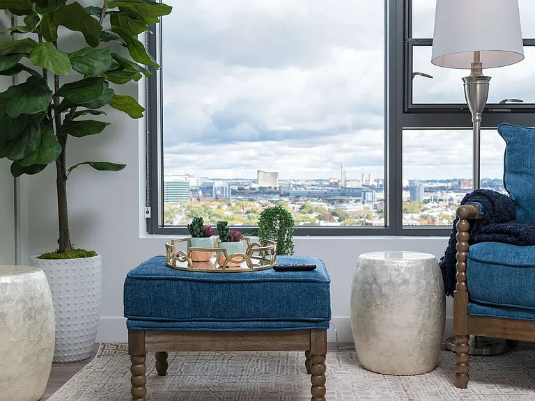 Window View