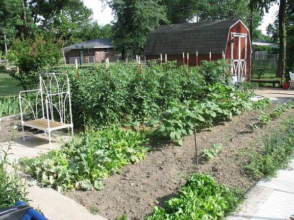 Garden