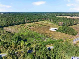 0 Gause Canal Rd Lot 4, Coward, SC 29530