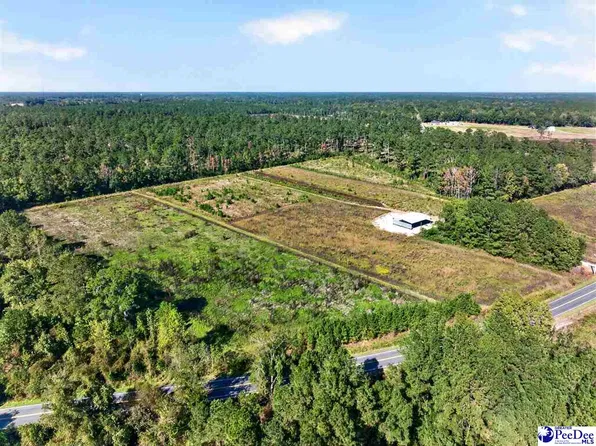 0 Gause Canal Rd Lot 4, Coward, SC 29530