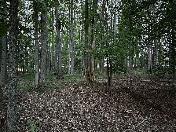Back of lot facing road