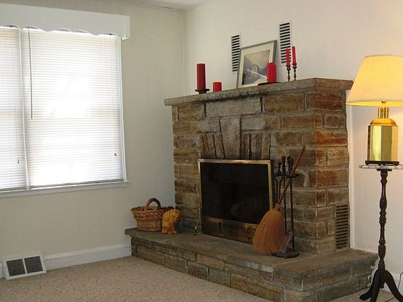 Wood-burning fireplace in living room
