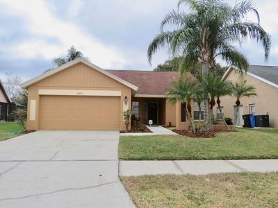 8609 Boysenberry Dr, Tampa, FL, 33635