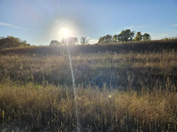 Calming Meadows Ct Lot 3, Middleville, MI 49333