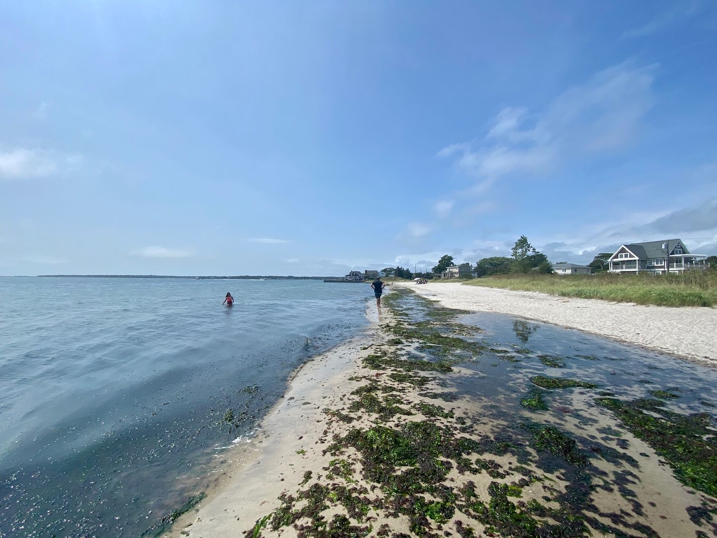 Webby's Beach - Neighborhood Bay Beach (No pass required)