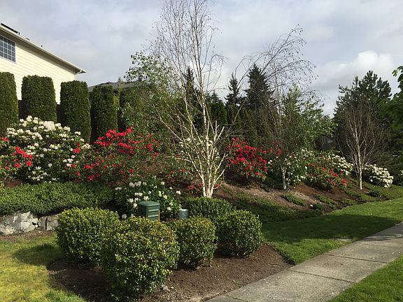 3rd image of 5006 Lake Crest Cir