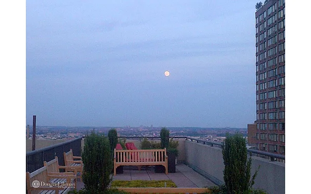 Rented by Douglas Elliman | media 6