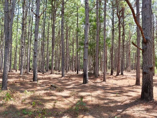 0 County Road 2288, Glenwood, AL 36034