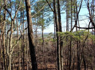 1 County Road 37 #1, Lynn, AL 35575