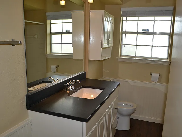Master downstairs bath