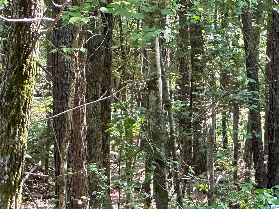 2nd image of County Road 9 #1