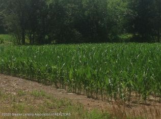 0 E Ridge Rd, Elsie, MI 48831