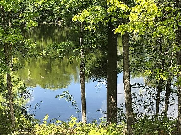 View of pond from deck 
