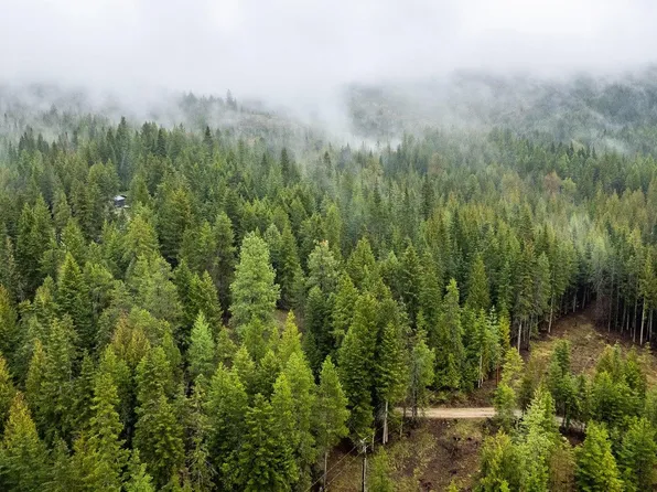 Nkn Ford Rd, Newport, WA 99156